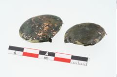 Foto von Bronzebeschlagscheiben (NHMW-PRAE-025512)